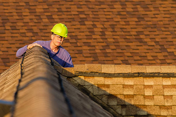 Best Roof Gutter Cleaning  in Stamps, AR